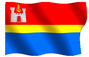 kalininflag